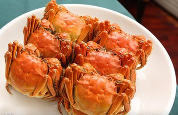 超声91视频H免费版在哺乳期内的妈妈能够吃螃蟹吗