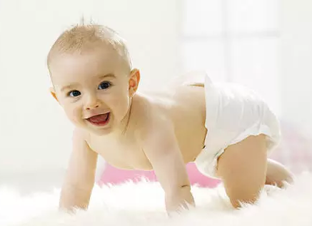 GK-9000便捷式91视频H免费版厂家